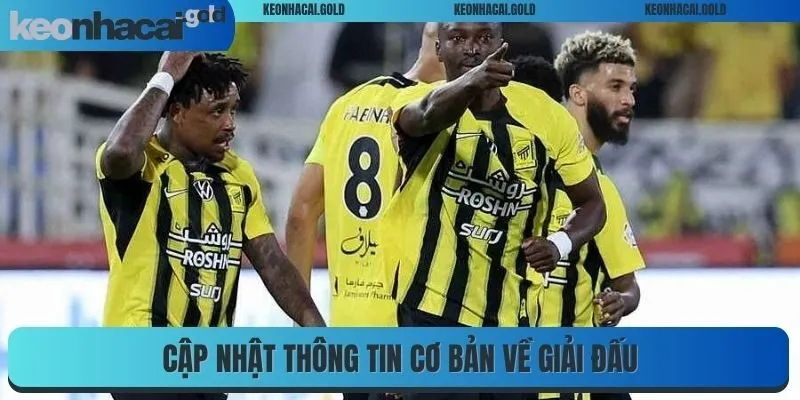 Cập nhật thông tin cơ bản về giải đấu