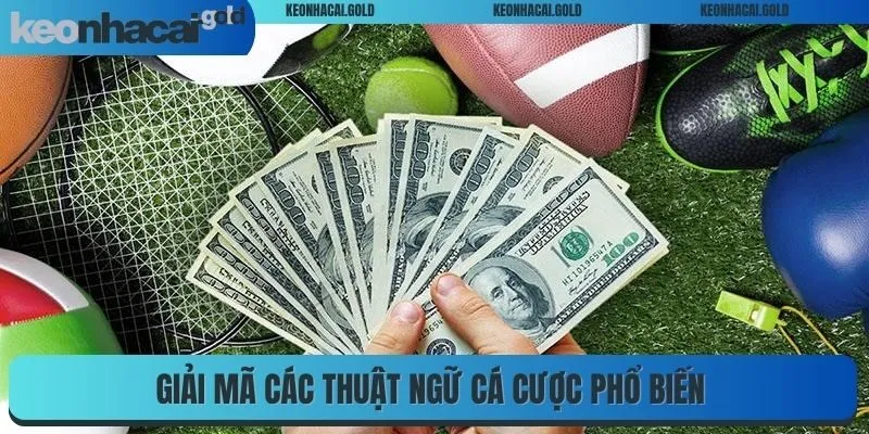 Giải mã các thuật ngữ cá cược phổ biến