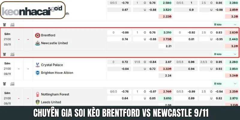 Những tỷ lệ hấp dẫn trong soi kèo Brentford vs Newcastle 9/11 