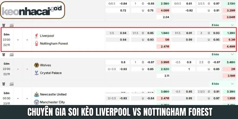 Soi kèo cá cược siêu chuẩn xác