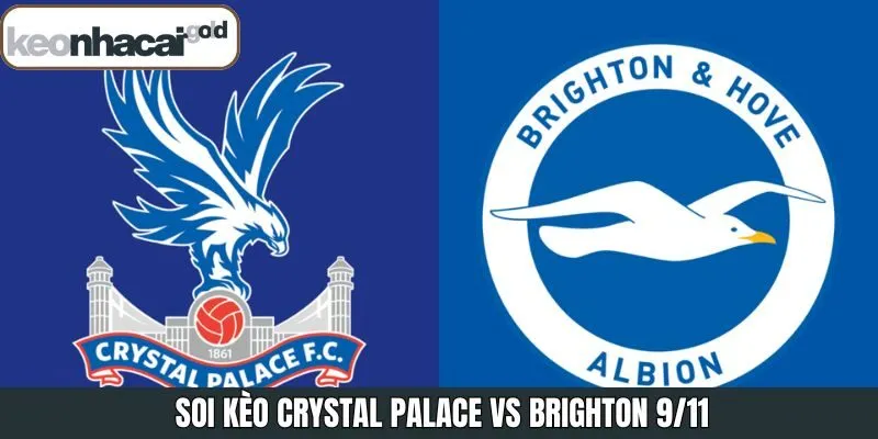 Soi Kèo Crystal Palace Vs Brighton 9/11 Siêu Chuẩn Xác