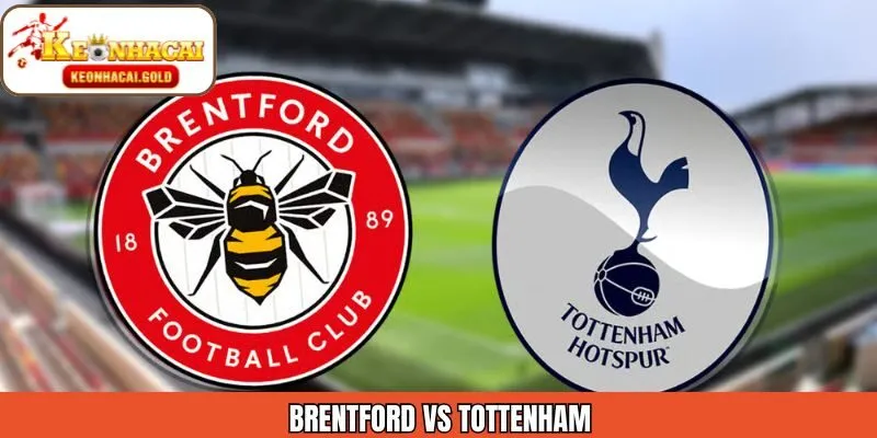 Phân Tích Trận Brentford Vs Tottenham Ngày 2/1 Từ Keonhacai