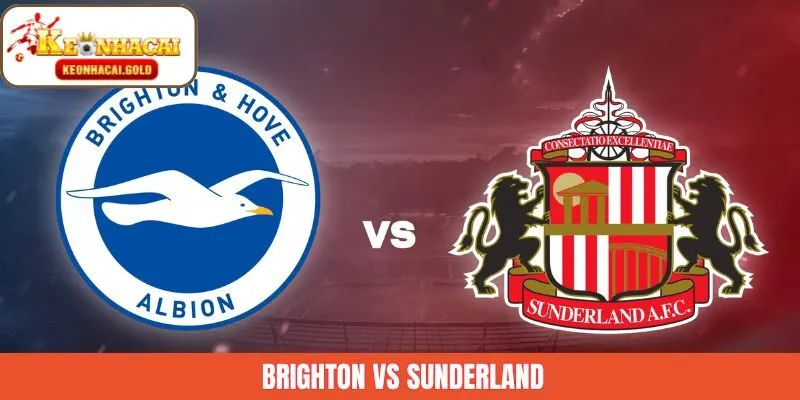 Brighton Vs Sunderland 20/12/2025 - Soi Kèo Cùng Keonhacai