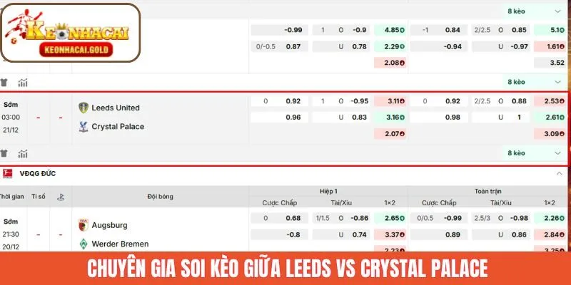 Chuyên gia soi kèo trận đấu giữa Leeds vs Crystal Palace