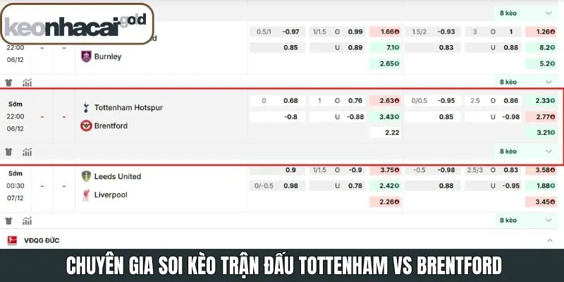 Nhận định Tottenham vs Brentford từ chuyên gia