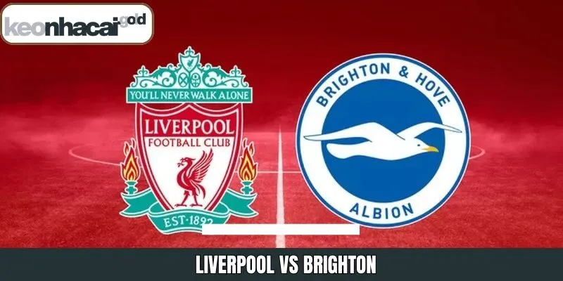 Liverpool Vs Brighton - Nhận Định Trận Đấu Ngày 13/12