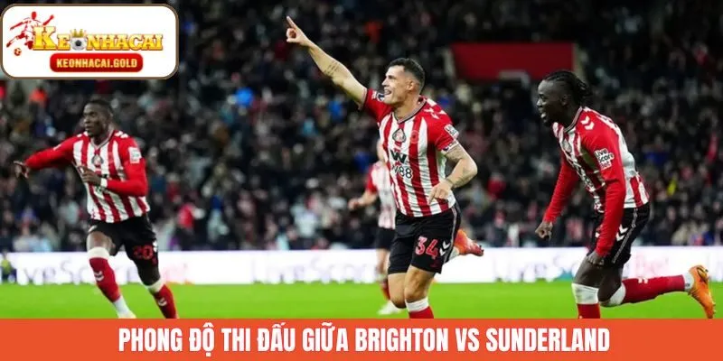Phong độ gần đây của cả hai đội Brighton vs Sunderland