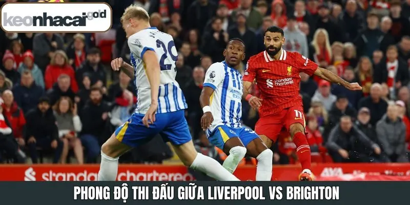 Đánh giá phong độ của Liverpool vs Brighton