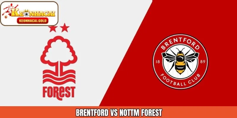 Nhận Định Chi Tiết Brentford Vs Nottm Forest 25/01 Từ Keonhacai