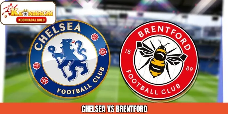 Chelsea Vs Brentford Ngày 17/01 - Đại Chiến London Rực Lửa
