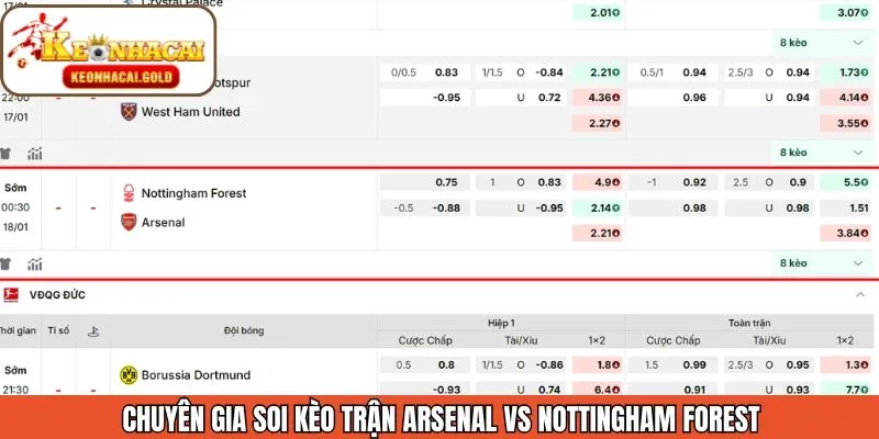 Nhận định soi kèo trận đấu chuẩn xác nhất