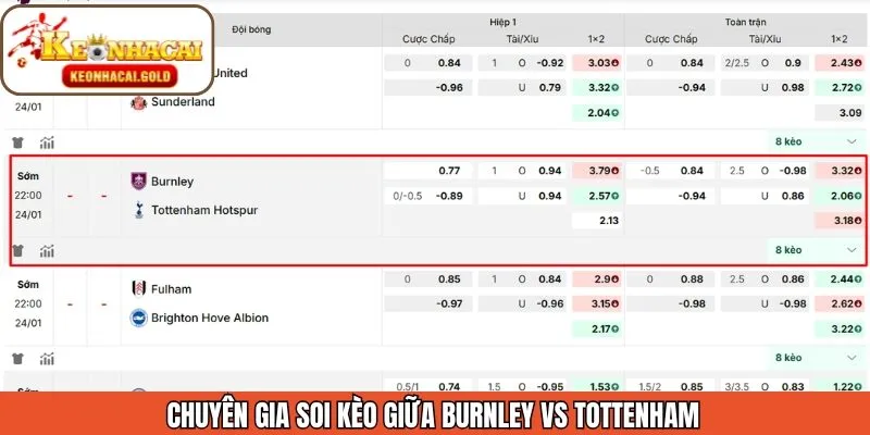Soi kèo từ chuyên gia về trận đấu ngày 24/01
