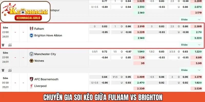 Nhận định kèo chi tiết cho trận Fulham vs Brighton