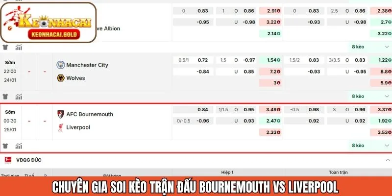 Nhận định tỷ lệ kèo trận đấu ngày 25/01