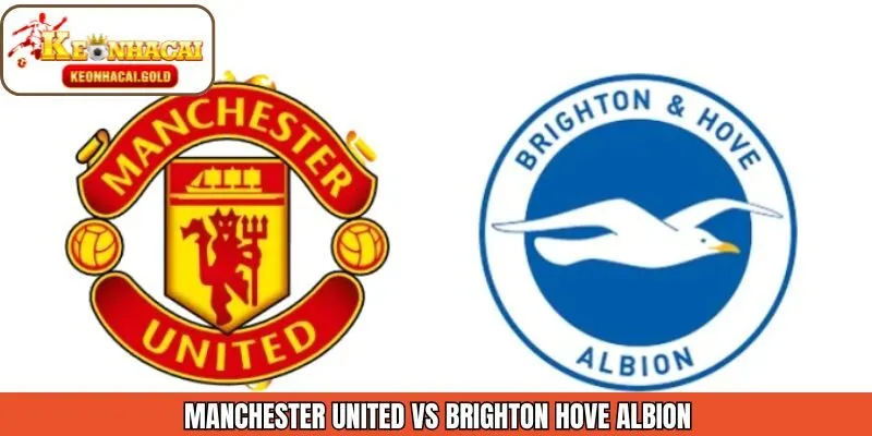 Nhận Định Trận Đấu Manchester United VS Brighton Hove Albion Ngày 11/1