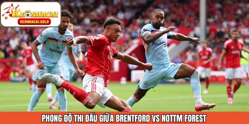 Hiệu suất thi đấu gần đây của Brentford vs Nottm Forest