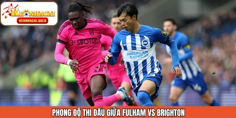 Phong độ của Fulham vs Brighton trước khi trận đấu diễn ra